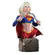 Women of The DC Universe Series 2 Supergirl Mini Bust